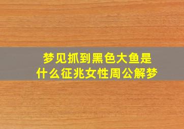 梦见抓到黑色大鱼是什么征兆女性周公解梦