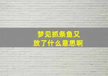 梦见抓条鱼又放了什么意思啊