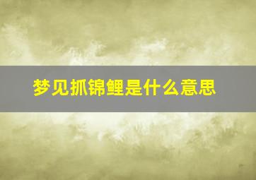 梦见抓锦鲤是什么意思