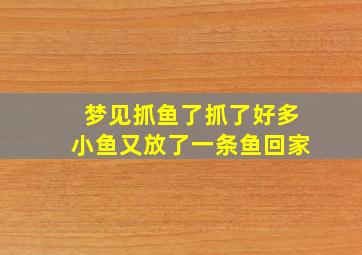 梦见抓鱼了抓了好多小鱼又放了一条鱼回家