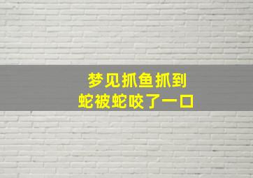 梦见抓鱼抓到蛇被蛇咬了一口