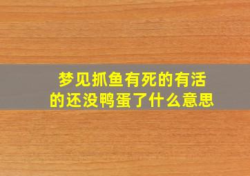 梦见抓鱼有死的有活的还没鸭蛋了什么意思