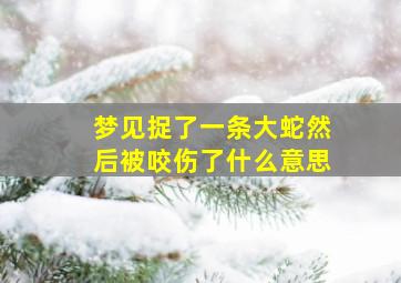 梦见捉了一条大蛇然后被咬伤了什么意思