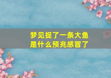 梦见捉了一条大鱼是什么预兆感冒了