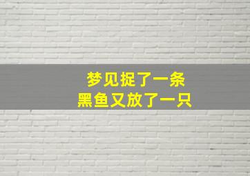 梦见捉了一条黑鱼又放了一只