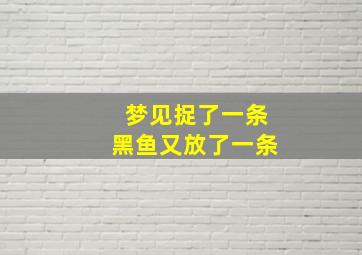 梦见捉了一条黑鱼又放了一条