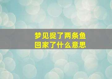 梦见捉了两条鱼回家了什么意思