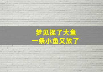 梦见捉了大鱼一条小鱼又放了