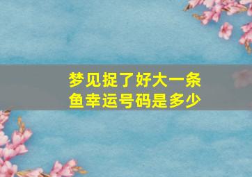 梦见捉了好大一条鱼幸运号码是多少