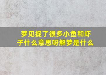 梦见捉了很多小鱼和虾子什么意思呀解梦是什么