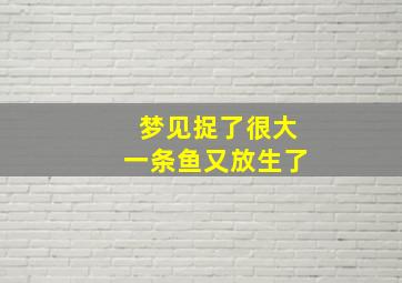 梦见捉了很大一条鱼又放生了