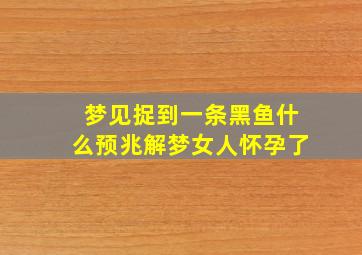 梦见捉到一条黑鱼什么预兆解梦女人怀孕了