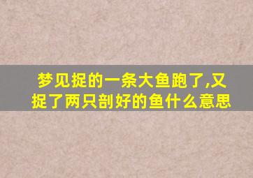 梦见捉的一条大鱼跑了,又捉了两只剖好的鱼什么意思