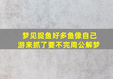 梦见捉鱼好多鱼像自己游来抓了要不完周公解梦