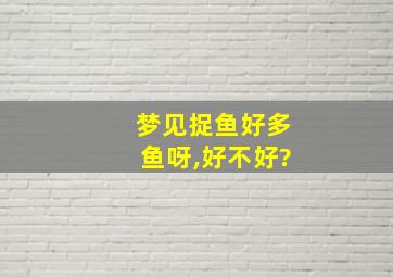 梦见捉鱼好多鱼呀,好不好?