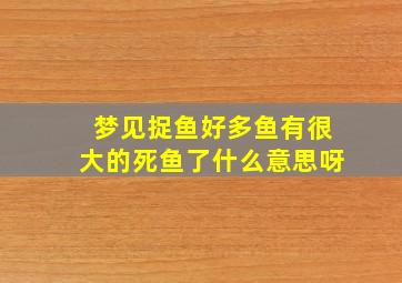 梦见捉鱼好多鱼有很大的死鱼了什么意思呀