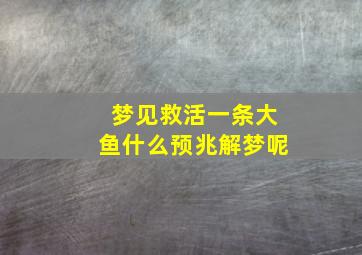 梦见救活一条大鱼什么预兆解梦呢