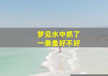 梦见水中抓了一条鱼好不好