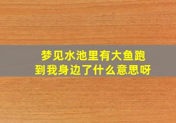 梦见水池里有大鱼跑到我身边了什么意思呀