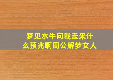 梦见水牛向我走来什么预兆啊周公解梦女人