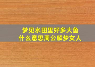 梦见水田里好多大鱼什么意思周公解梦女人