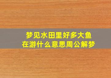 梦见水田里好多大鱼在游什么意思周公解梦