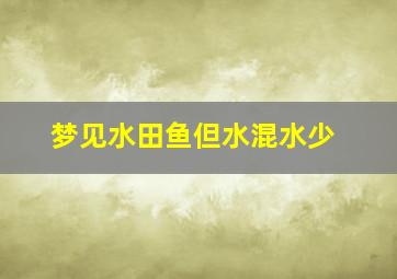 梦见水田鱼但水混水少