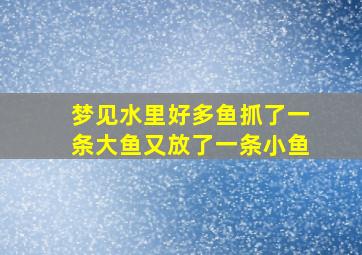 梦见水里好多鱼抓了一条大鱼又放了一条小鱼