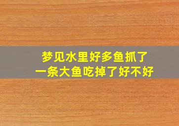 梦见水里好多鱼抓了一条大鱼吃掉了好不好