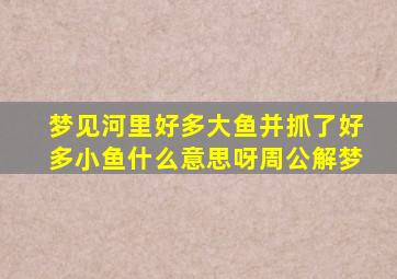 梦见河里好多大鱼并抓了好多小鱼什么意思呀周公解梦