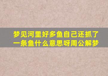 梦见河里好多鱼自己还抓了一条鱼什么意思呀周公解梦