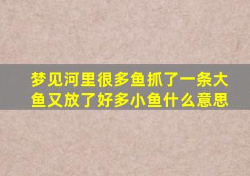 梦见河里很多鱼抓了一条大鱼又放了好多小鱼什么意思