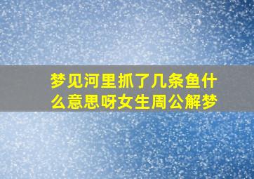 梦见河里抓了几条鱼什么意思呀女生周公解梦