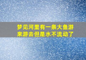 梦见河里有一条大鱼游来游去但是水不流动了