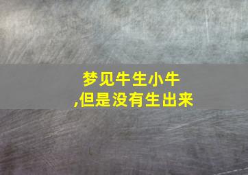 梦见牛生小牛 ,但是没有生出来