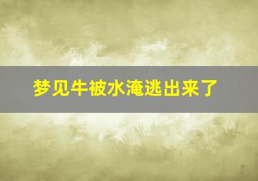 梦见牛被水淹逃出来了