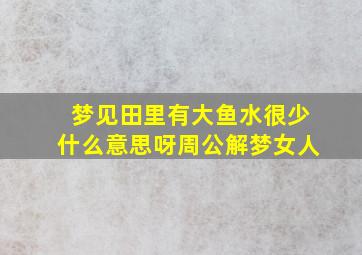 梦见田里有大鱼水很少什么意思呀周公解梦女人