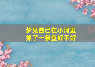 梦见自己在小河里抓了一条鱼好不好