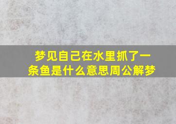 梦见自己在水里抓了一条鱼是什么意思周公解梦