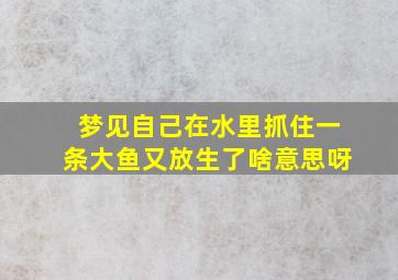 梦见自己在水里抓住一条大鱼又放生了啥意思呀