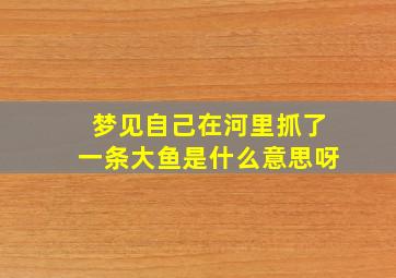 梦见自己在河里抓了一条大鱼是什么意思呀