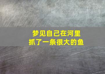 梦见自己在河里抓了一条很大的鱼