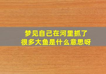 梦见自己在河里抓了很多大鱼是什么意思呀