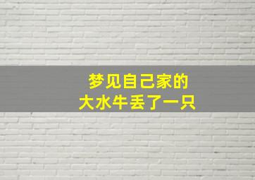 梦见自己家的大水牛丢了一只