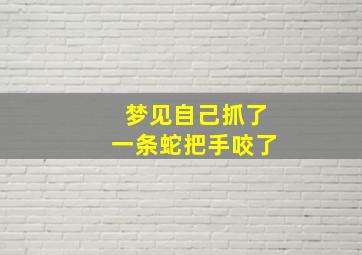 梦见自己抓了一条蛇把手咬了