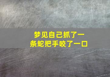 梦见自己抓了一条蛇把手咬了一口