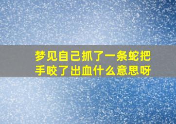 梦见自己抓了一条蛇把手咬了出血什么意思呀