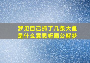 梦见自己抓了几条大鱼是什么意思呀周公解梦