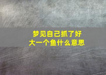 梦见自己抓了好大一个鱼什么意思