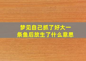 梦见自己抓了好大一条鱼后放生了什么意思